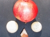 r1131420