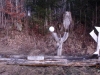 #02088-NE-Metal Skulptur