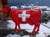 #02140-VS-Rote Kuh